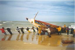 Cliquez pour agrandir l'image Cliquez pour agrandir l'image